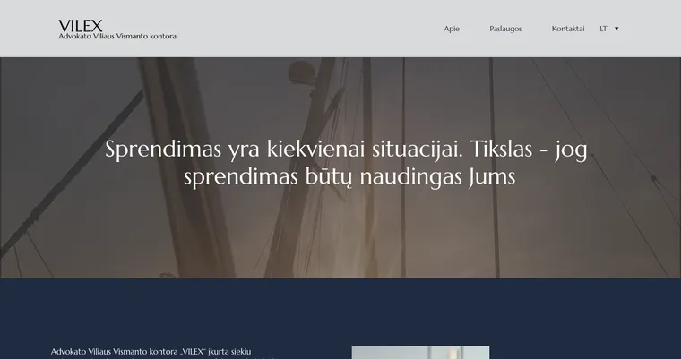 Vilex.lt svetainės ekrano vaizdas